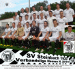 Teamfoto Verbandsliga 2010/11 