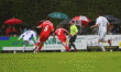 thm_SteinbachAschaffenburg20027.gif