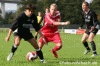 thm_niederaula-steinbach03.gif
