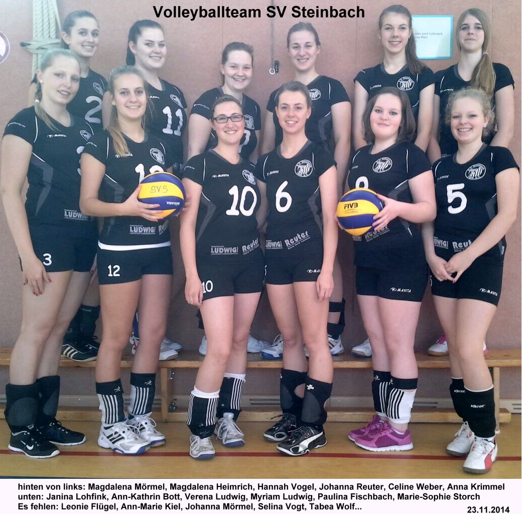 Volleyballteam 2014